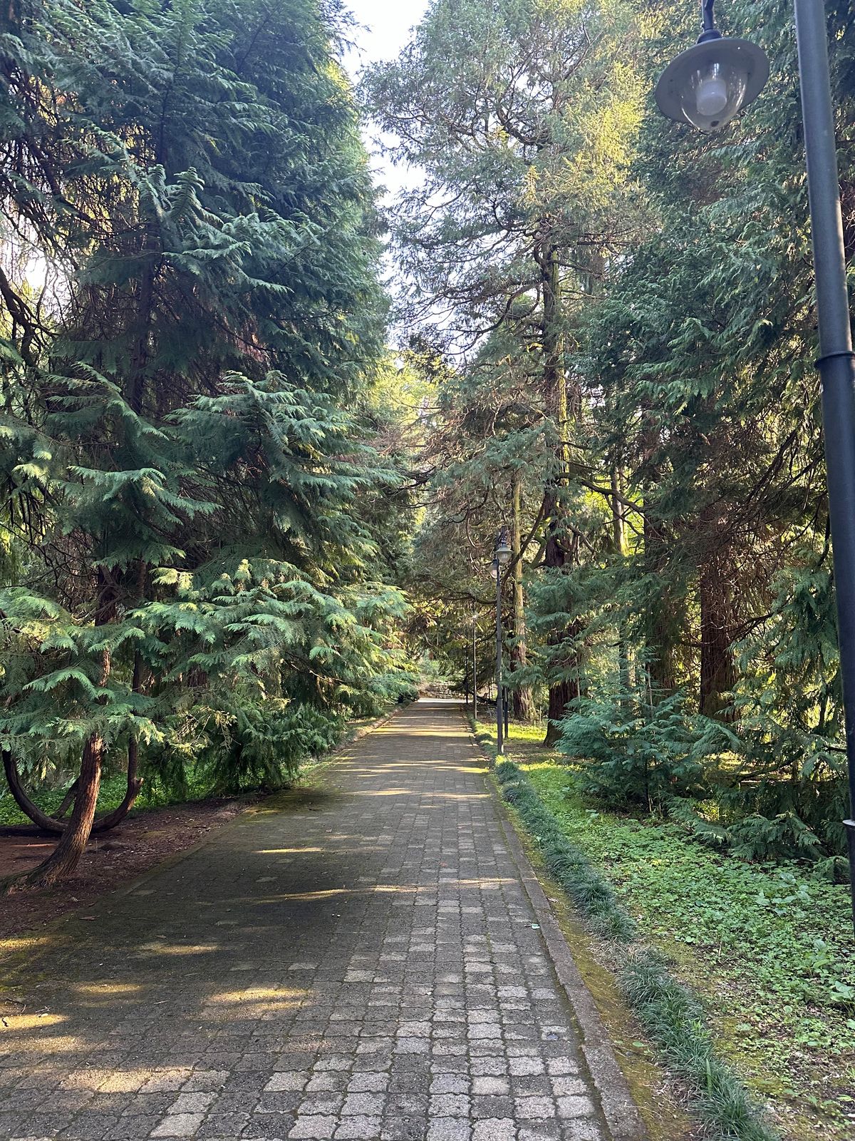 Ботанический сад